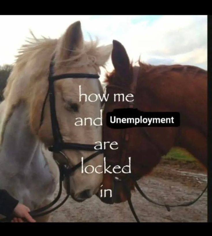 unemployment