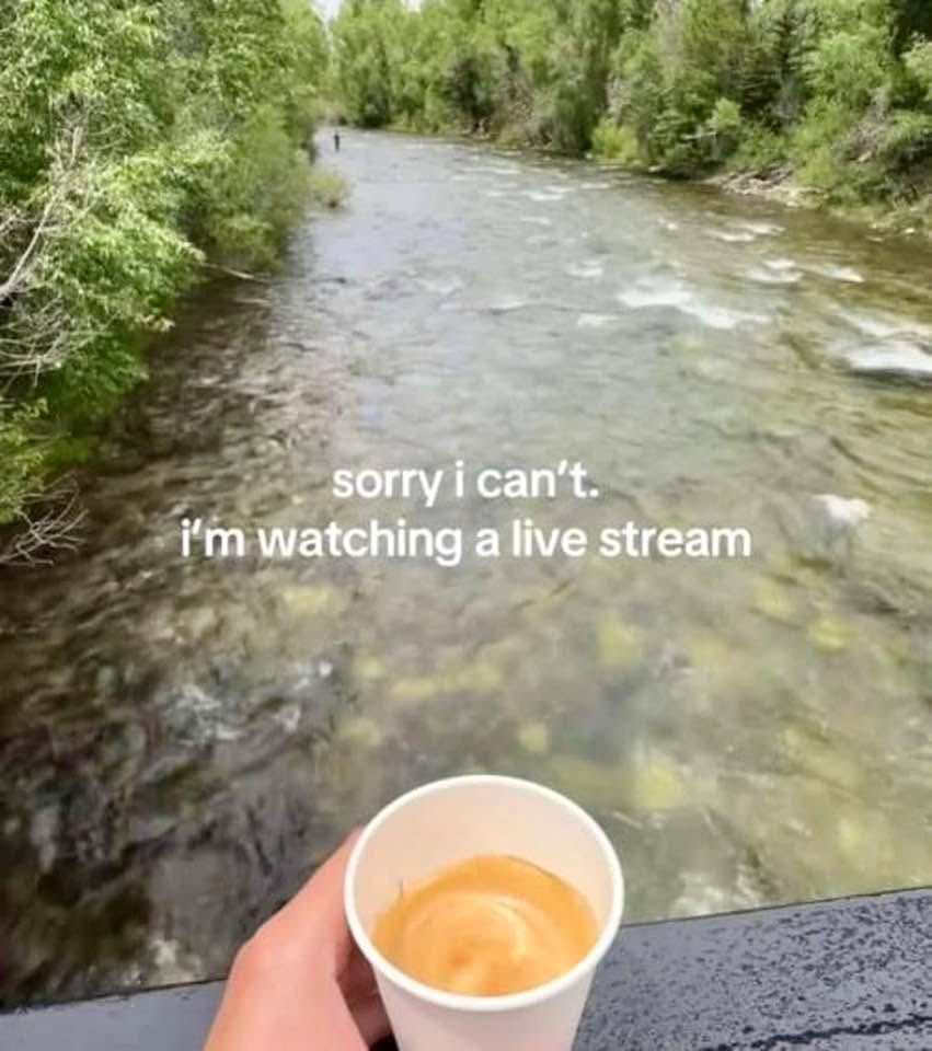 Stream